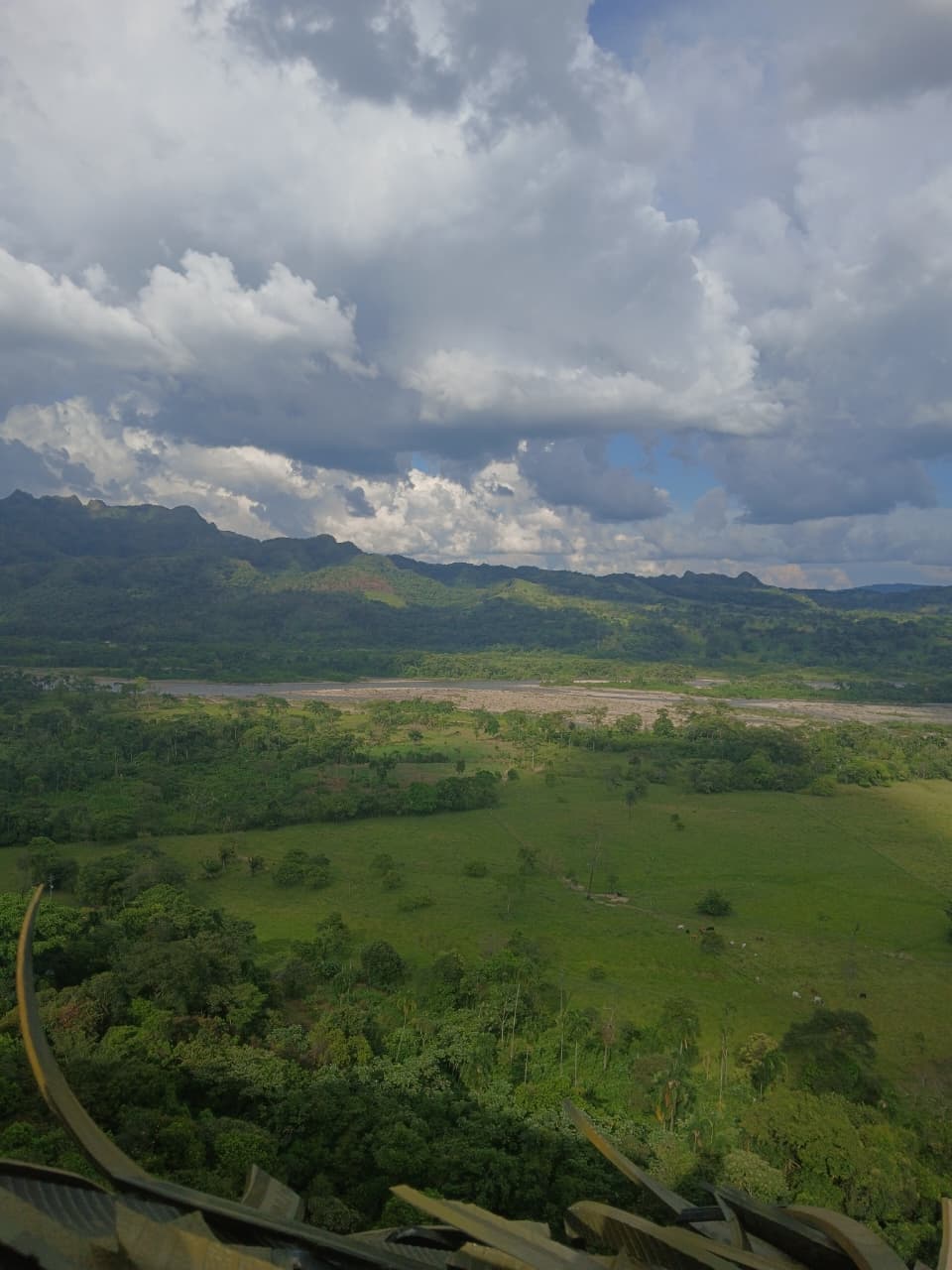 Nido gigante para fotos